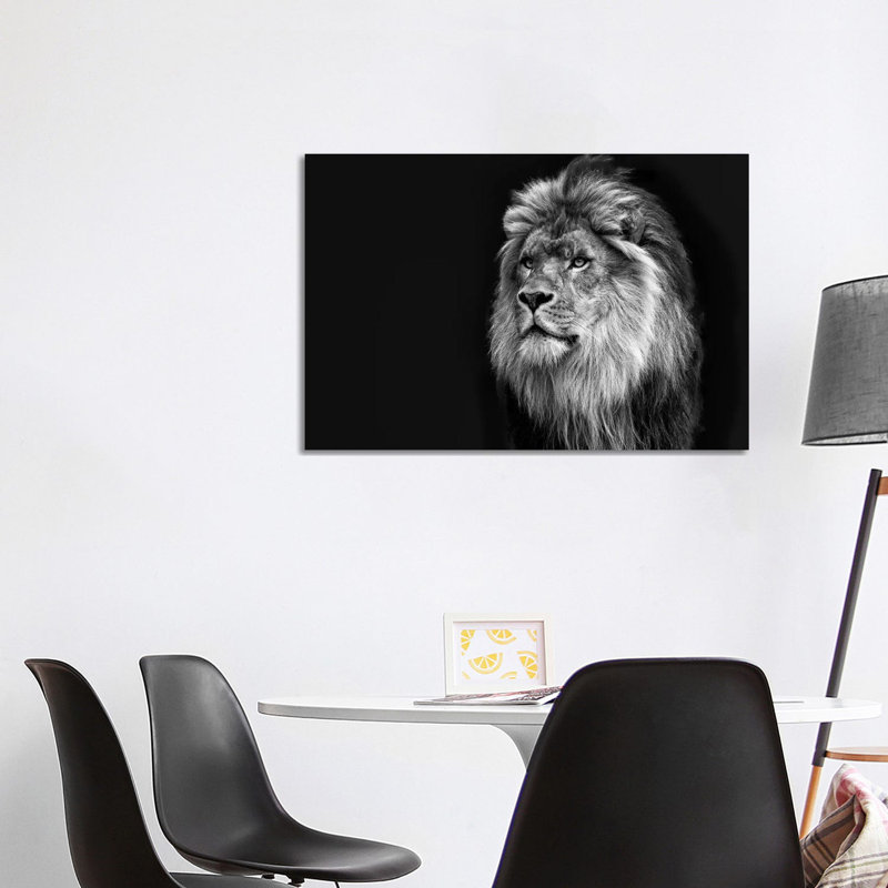 Majestic In Black & White by David Gardiner - Wrapped Canvas Print, 66.04cm H x 101.6cm W