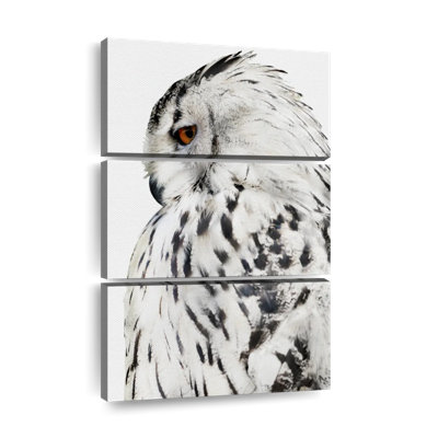 Chouette effraie blanche sur toile, 3 pièces