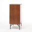 Yair Shoe Storage Cabinet