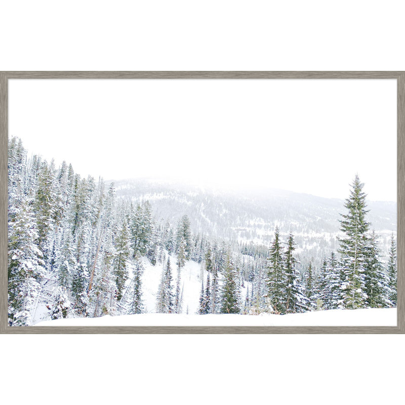 Winter White 2 Print by Thom Filicia