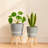 Hand-Painted Resin Planters with Beech Wood Legs, Indoor & Outdoor Decorative Plant Stands for Patio, Living Room, Garden, and Home Décor, Set of 2-400475355-400475348