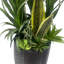 Anlin 100cm Faux Yucca Tree in Pot