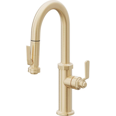 Pull-Down Prep/Bar Faucet With Squeeze Sprayer
