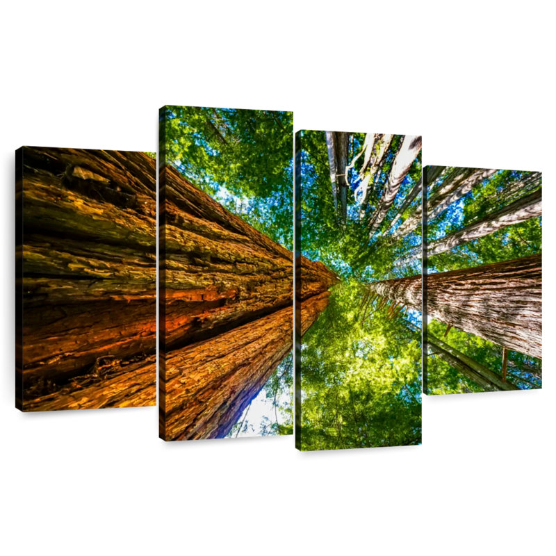 Harnek Redwood Canopy, 42" H x 68" W