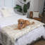 Couverture de lit imperméable Pupprotector-40873315-40873318