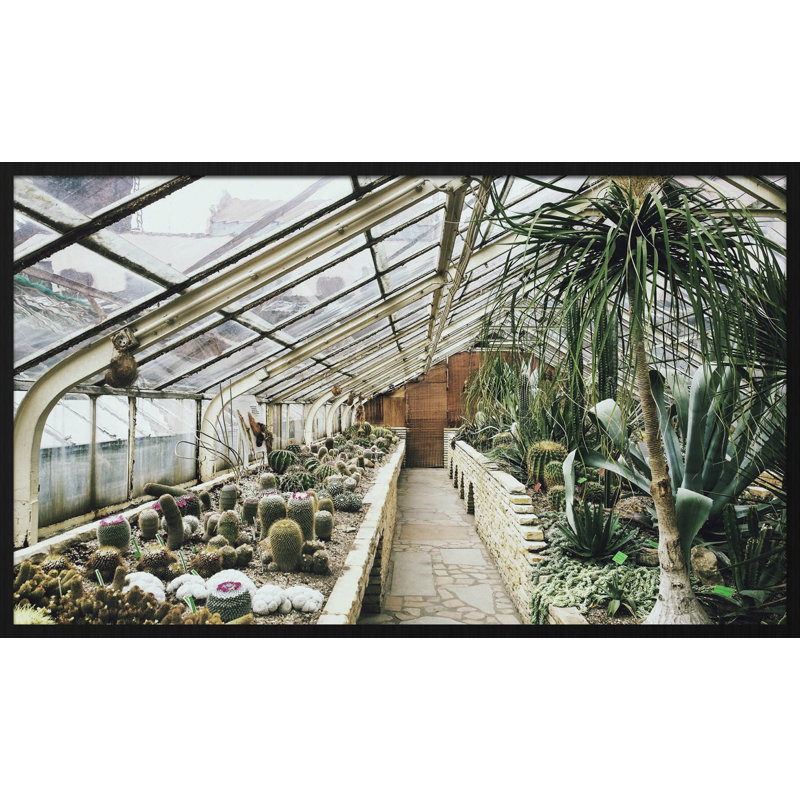 Botanical Stories 013 - Single Picture Frame Rectangle Print, 70cm H x 118cm W x 10cm D
