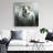 Cashmere goat - 32"x32" art on canvas