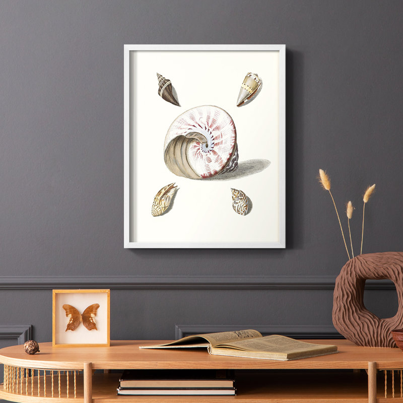 «Pastel Knorr Shells II», reproduction encadrée - bois massif, Cadre blanc, H 20 po x l 16 po