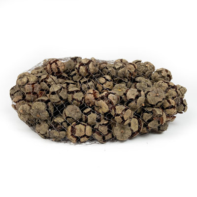 Bourre vase cypress en pin