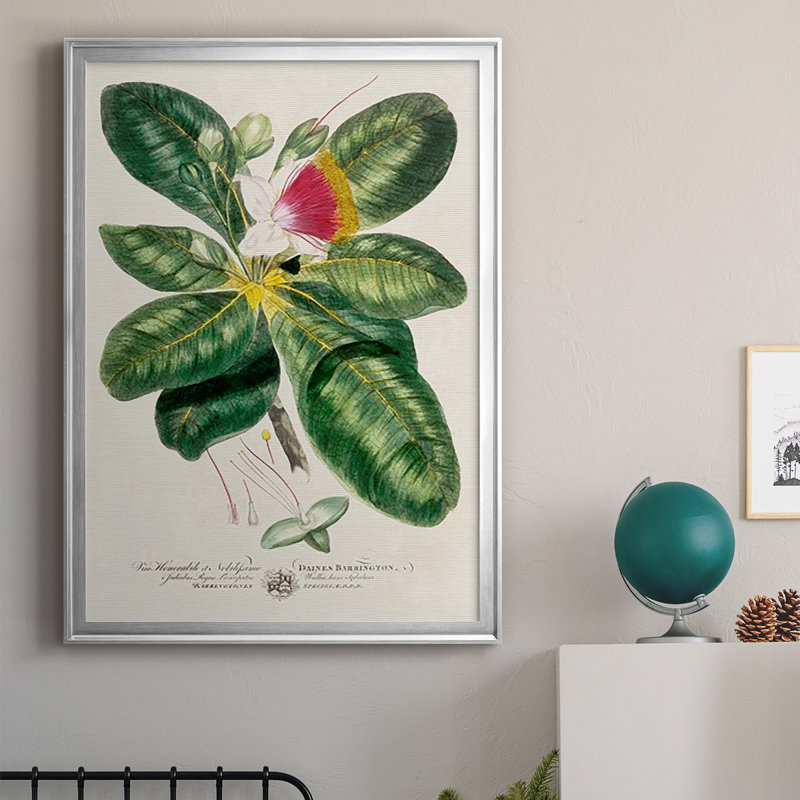 Imperial Tropical Botanical I, reproduction d'art encadrée, Argent, H 24,5 po x l 18,5 po x P 1 po