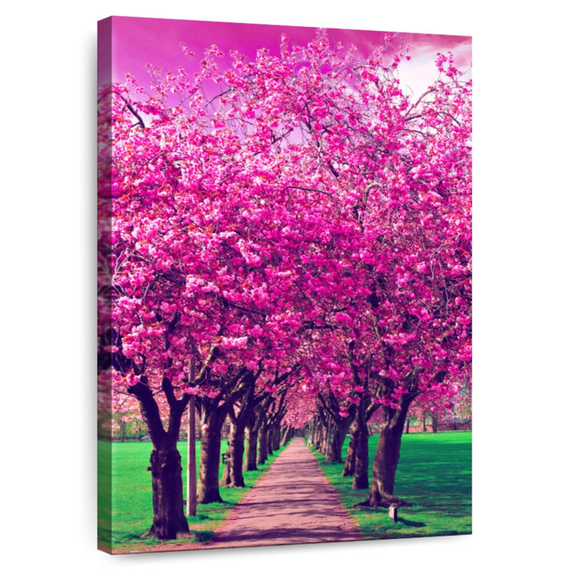 Pruniers roses Harnek, H 30 po x l 20 po