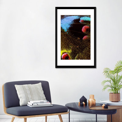 « papillon macro-photographie iii », reproduction de photo sur toile