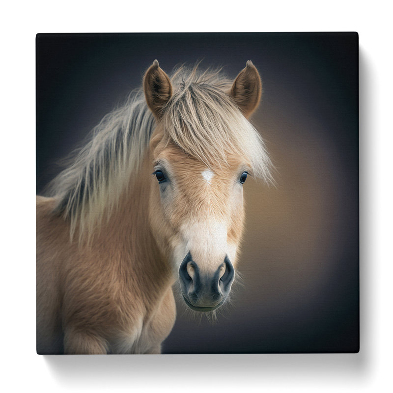Pony No.1 - No Frame Print