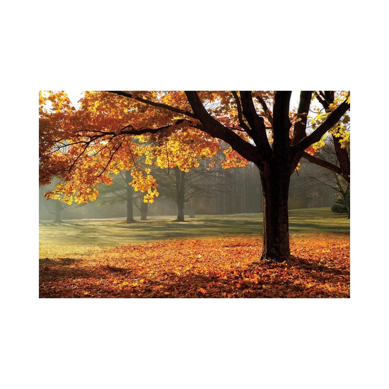 Autumn by Mike Jones - Wrapped Canvas Print, 66.04 cm H x 45.72 cm W x 3.175 cm D
