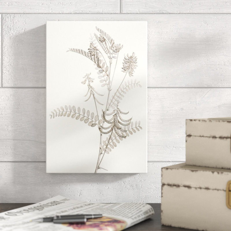 Neutral Botanical Study VII by Vision Studio - Painting Print, 30cm H x 20cm W, Wrapped Canvas