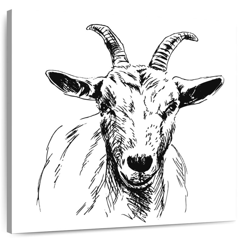 Crowle Horned Goat