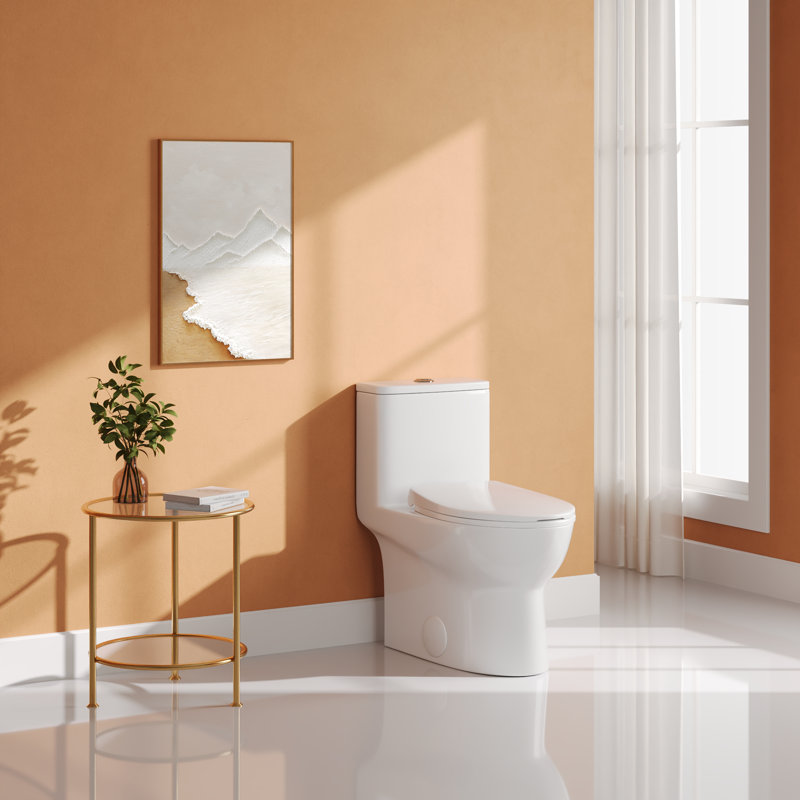 Ally Dual-Flush Elongated One-Piece Toilet with Glazed Surface Modern Toilet with Comfort Seat Height  (Seat Included), 12"