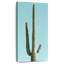 Cactus verts du désert-1711817656