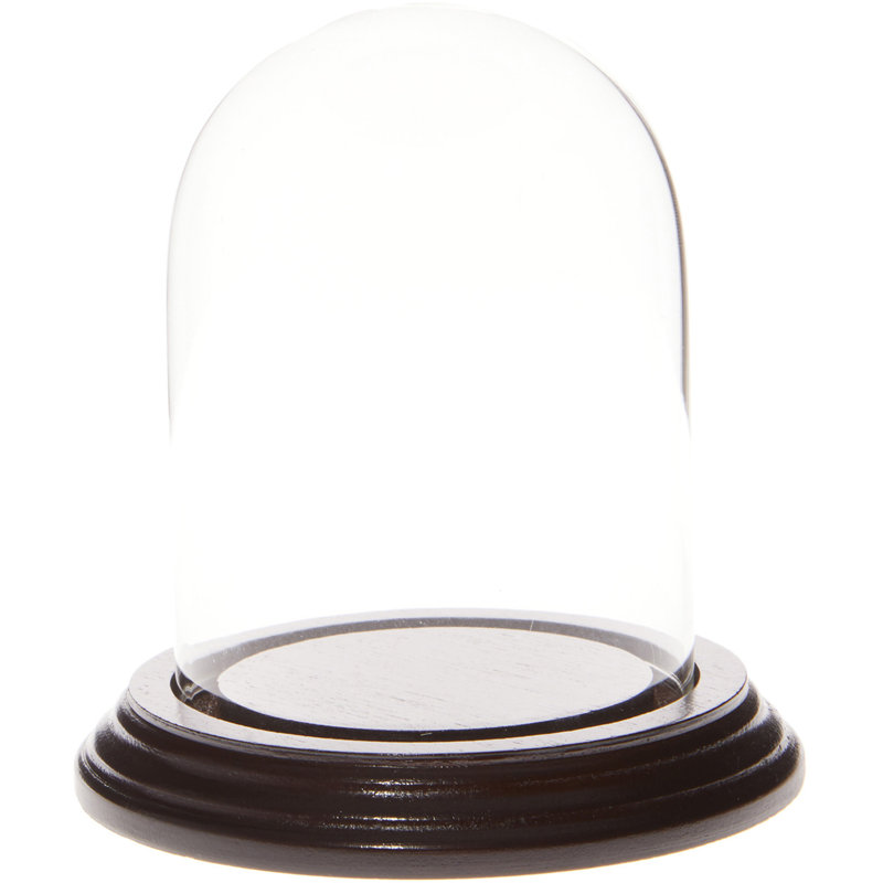 Cloche en verre 3 "x 4" Vucciria, Base en placage d'acajou foncé