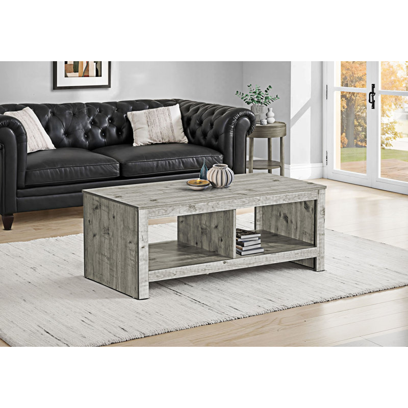 Storage Coffee Table