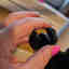 Customer photo 5 of 10