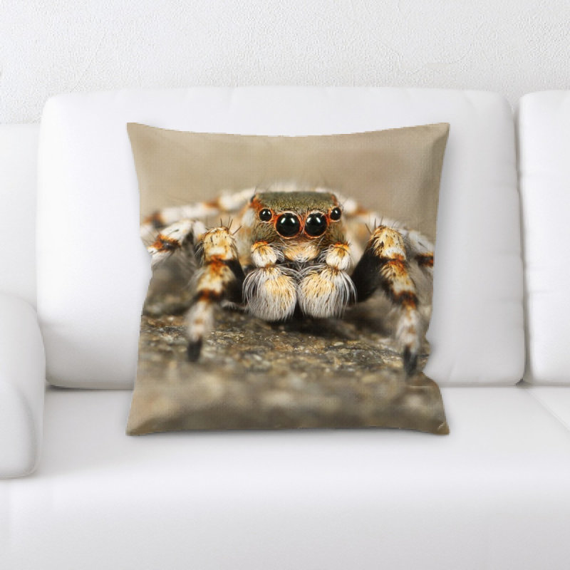 Coussin de spider saut