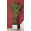 Bambou artificiel en pot 72 po Panama-1947636878-1947636877