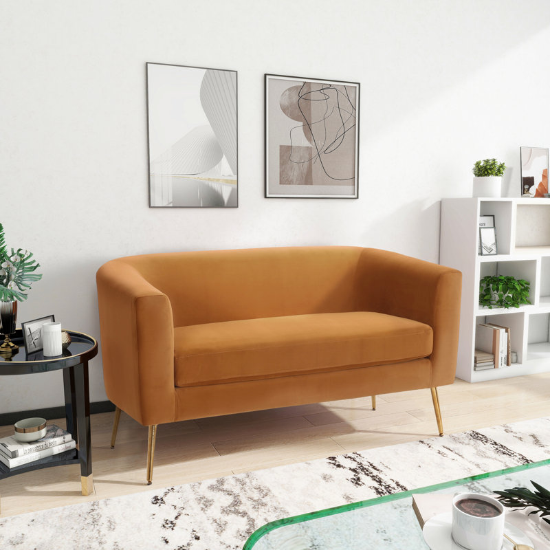 Causeuse pour velours de salon de chambre à coucher