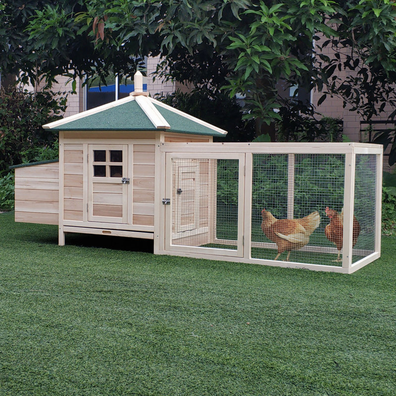 Poulailler en bois avec nichoir, poulailler d'extérieur avec plateau et rampe amovibles, pour jardin