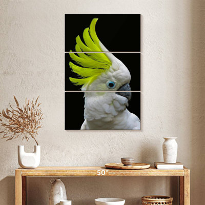 Brampt Yellow Crested Cockatoo