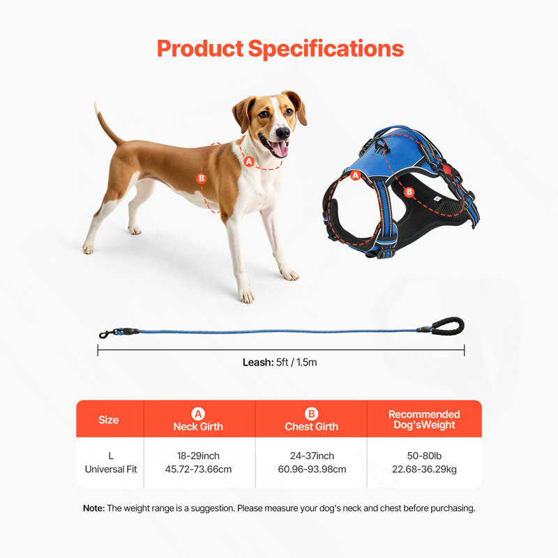 Harnais pour chien avec grand chien