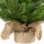 Real Touch Potted Sarasota Pine Artificial Mini Christmas Tree - 24" - Unlit