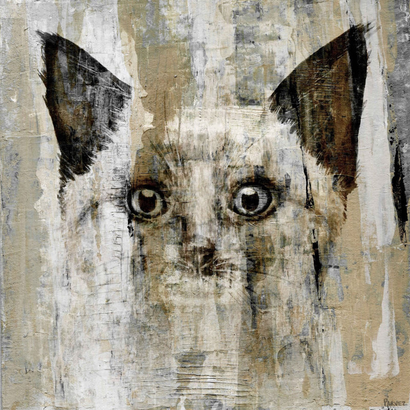 Brown-Eyed Cat by Parvez Taj - Wrapped Canvas Painting, 45cm H x 45cm W x 3.81cm D