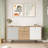 Colesen Console