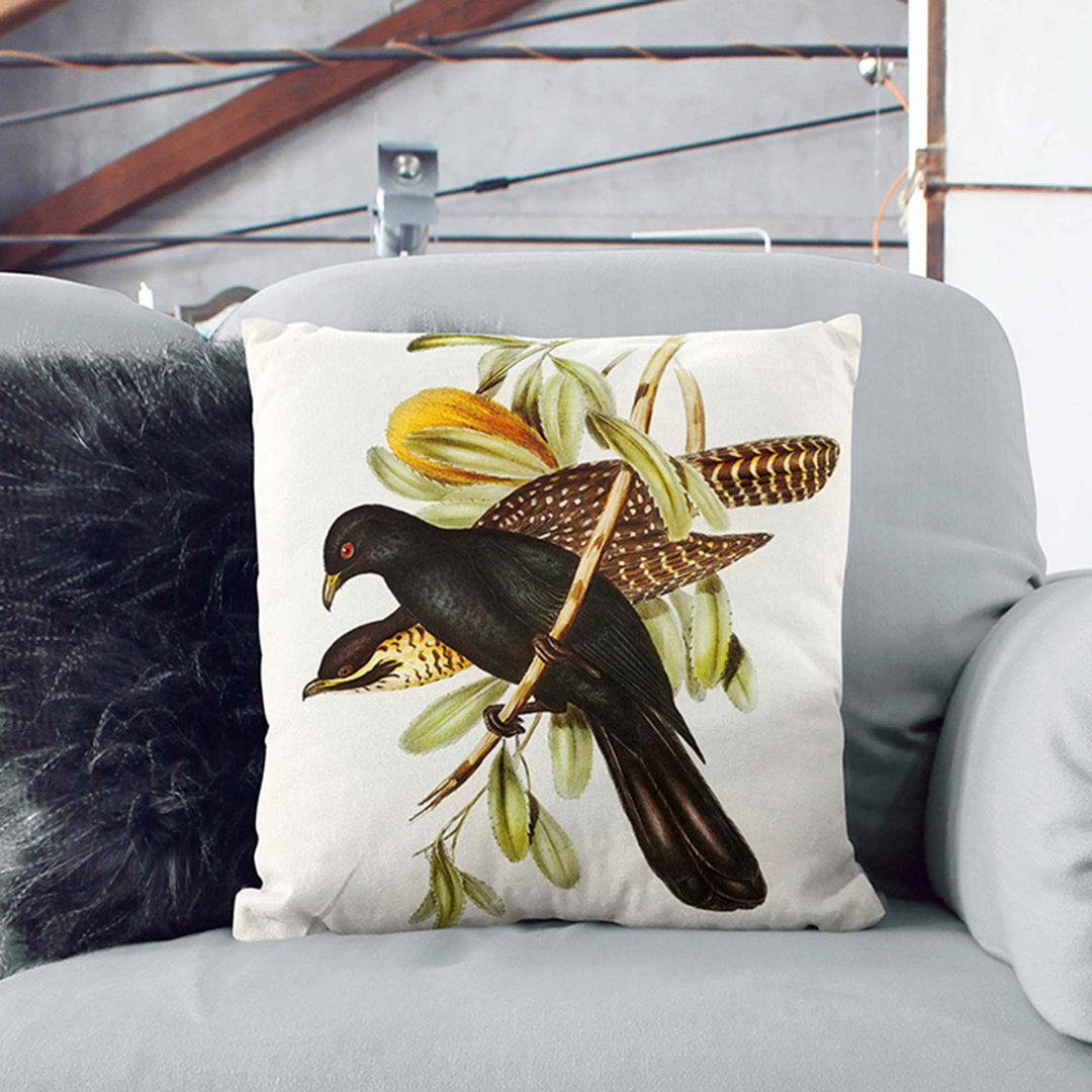 Flinder's Cuckoo by Elizabeth Gould Cushion with Filling