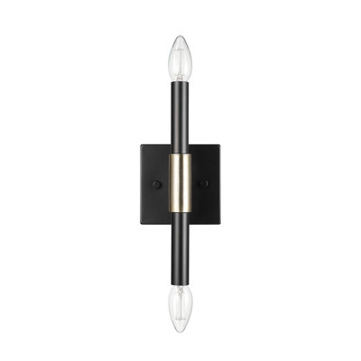 Laionna Iron Armed Sconce
