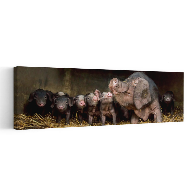 Mother Pig And Piglets by Gert Van Den - Wrapped Canvas Panoramic Print, 40.64 cm H x 121.92 cm W