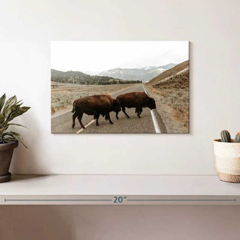 Brampt Bison In Lamar Valley, 8" H x 12" W