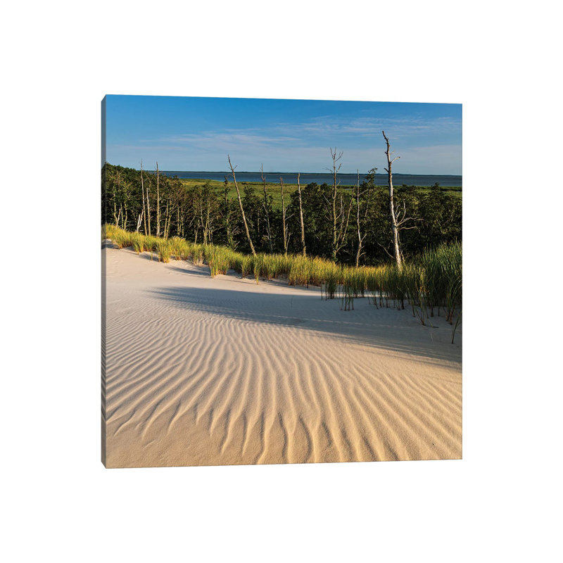 Poland, Baltic Sea, Slowinski National Park VII by Mikolaj Gospodarek - Wrapped Canvas Gallery-Wrapped Canvas Giclée