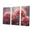 "Mums Musing" - Art mural sur toile-107759195-107759197