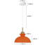 Luminaire suspendu simple à 1 lumière Gibran-1312792635