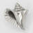 2" Conch Shell Knob-39948744