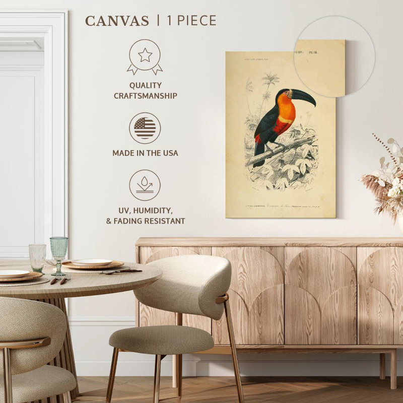 Brampt Toucan Du Para, 30" H x 20" W