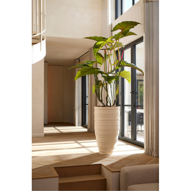 69'' Faux Elephant Ear Tree in Pot Liner