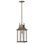 Grant 1 -Bulb 19.75" H Outdoor Hanging Lantern