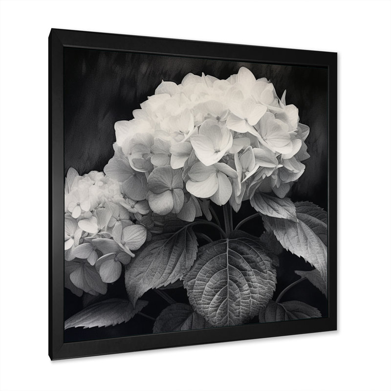 Hortensia gris et blanc II - imprimé, H 30 po x l 30 po x P 1 po, Cadre photo noir
