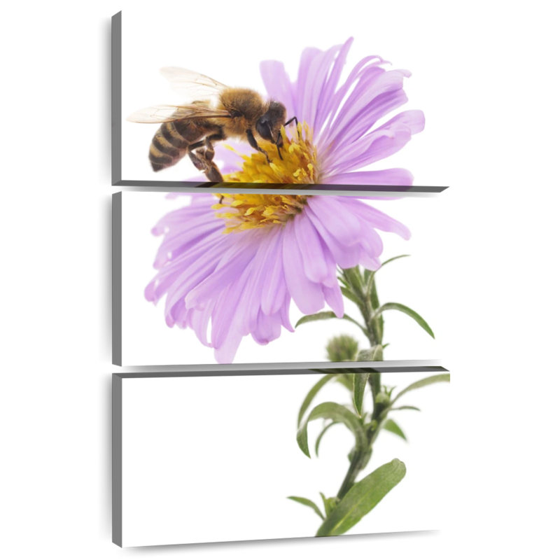 Brampt Bee On Flower, 38" H x 24" W