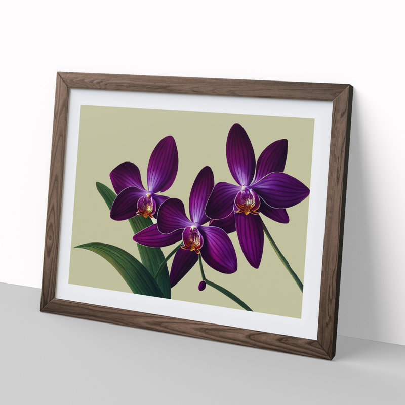 Glorious Orchid Flowers - Framed Print, 46cm H x 64cm W x 2cm D, Walnut