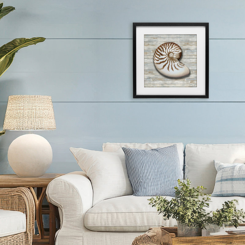 «Cowrie Shell on Shiplap», reproduction par Amber Sterling, H 16 po x l 16 po, Cadre noir minuit