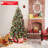 Lighted Christmas Tree-1925019488
